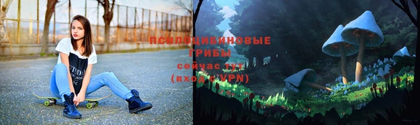 ECSTASY Михайлов