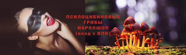 PSILOCYBIN Мегион