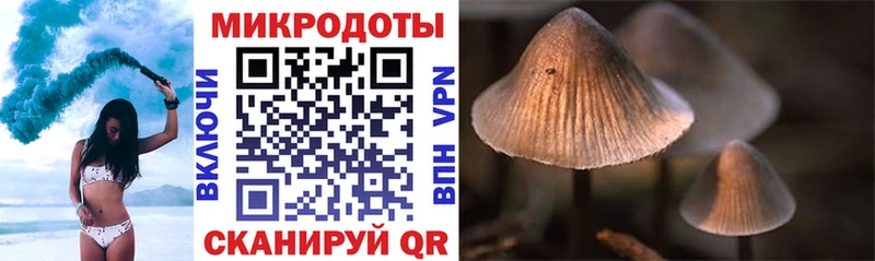 Галлюциногенные грибы мицелий  как найти закладки  Нурлат 